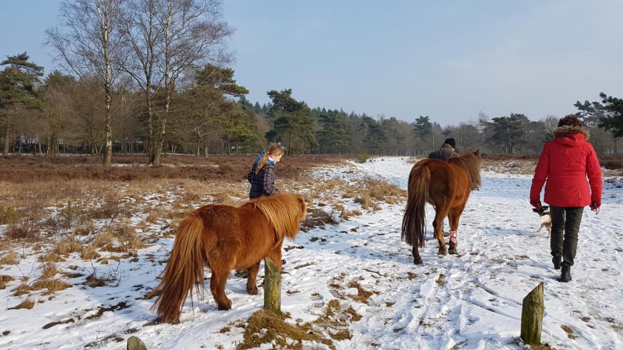 Chalet Op De Veluwe # Linde Putten Εξωτερικό φωτογραφία