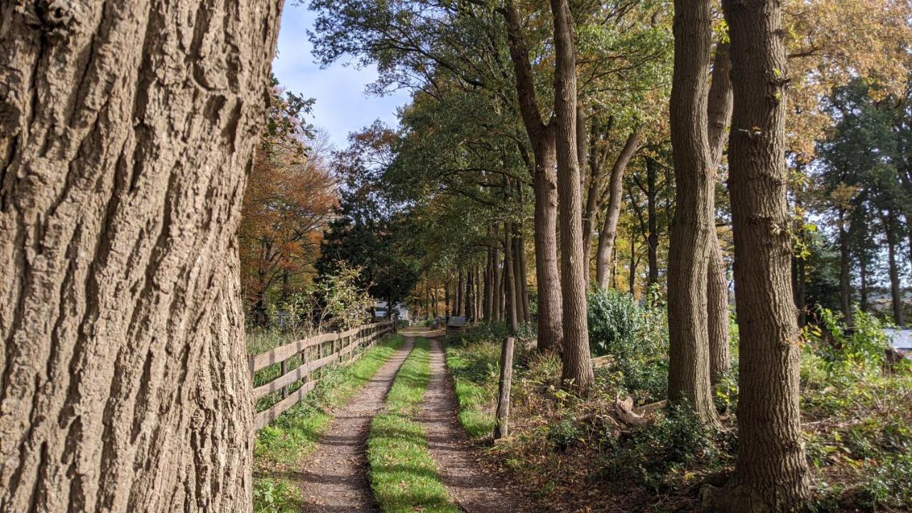 Chalet Op De Veluwe # Linde Putten Εξωτερικό φωτογραφία