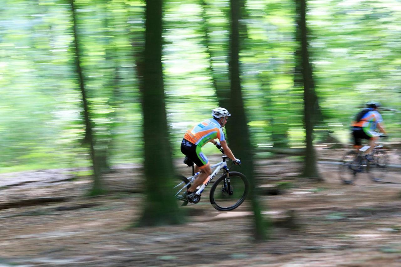 Chalet Op De Veluwe # Linde Putten Εξωτερικό φωτογραφία