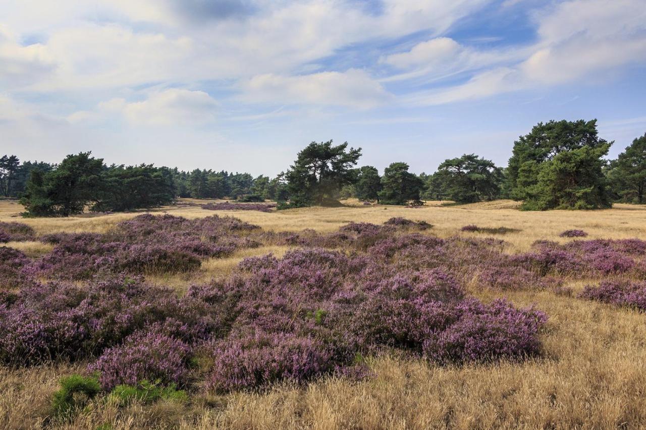 Chalet Op De Veluwe # Linde Putten Εξωτερικό φωτογραφία
